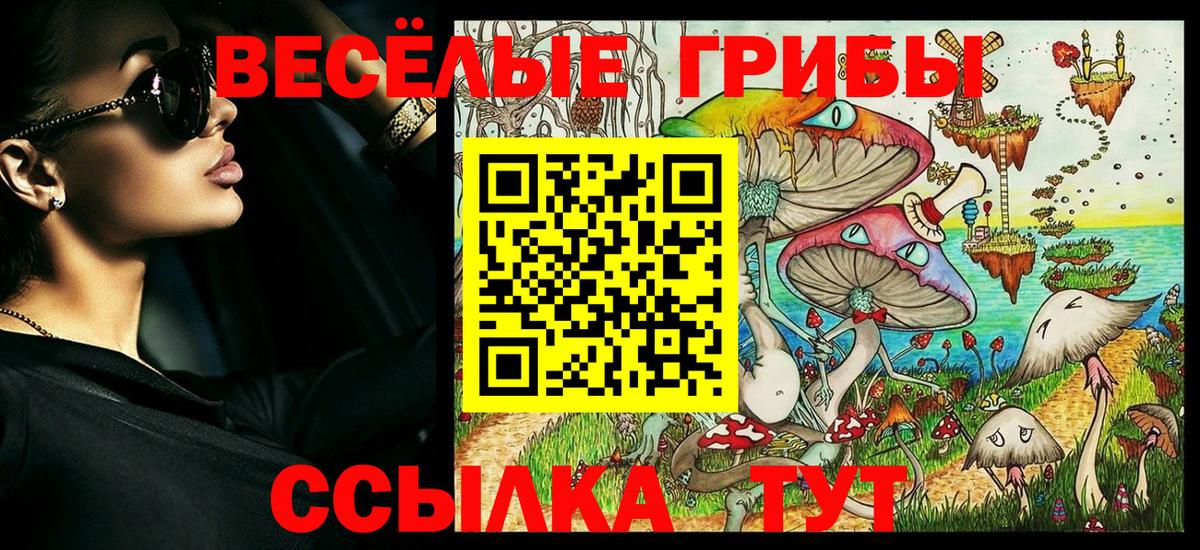 Выкса  Галлюциногенные грибы Psilocybe  Вход с VPN 